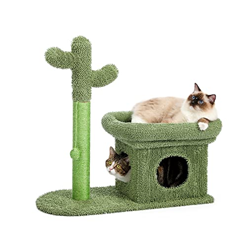 Cactus Scratching Posts Creative Scratching Posts Stylish Cat Tree with Ball and Cat House Height 70cm