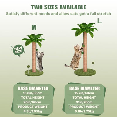 Scratching Posts for Cats