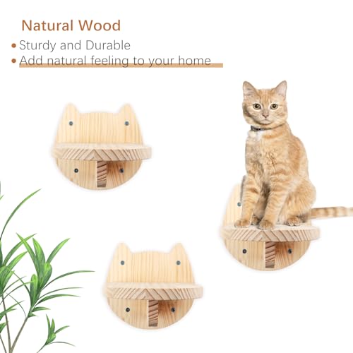 Cat stairs wall climbing set of 3