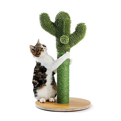 Arbre à chat en forme de cactus, arbre à chat en corde de sisal, jouet fin pour chat