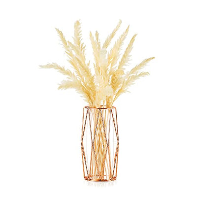 Vase For Pampas Grass, Glass Vase High Floor Vase With Geometric Metal Frame Stand