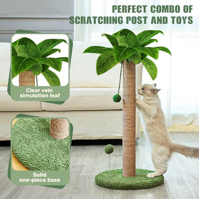 Scratching Posts for Cats