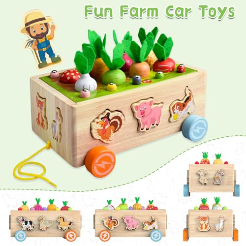 Baby wooden toys from 3 years vegetable animal recognition shapes color sorting game