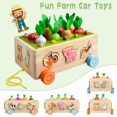 Baby wooden toys from 3 years vegetable animal recognition shapes color sorting game