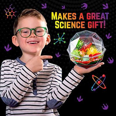 Grow Your Own Crystal Dinosaur Terrarium Kit, Komplett-Set für die Kristallzucht mit 2 Dinosaurierfiguren und Samen für die Zucht von 3 Kristallen für Kinder