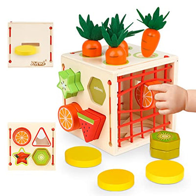 5 In 1 Toys - Wooden Toys, Baby Toys, Kids Toys Sorting Game Carrot Harvesting