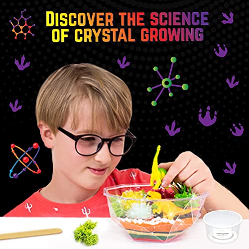 Grow Your Own Crystal Dinosaur Terrarium Kit, Komplett-Set für die Kristallzucht mit 2 Dinosaurierfiguren und Samen für die Zucht von 3 Kristallen für Kinder