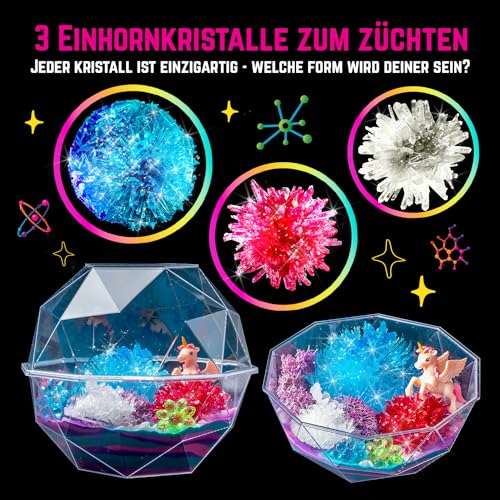 Grow Your Own Crystal Dinosaur Terrarium Kit, all-in-one unicorn terrarium crystal growing kit for growing 3 crystals