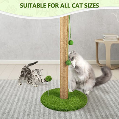 Cat Scratching Post