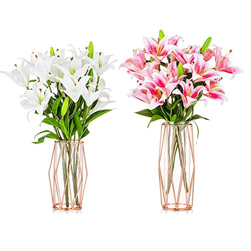 2Pcs/ Set Vase For Pampas Grass, Glass Rose Gold Vase High Bottom With Geometric Metal Frame Stand