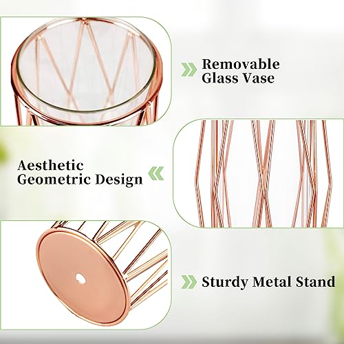 Vase For Pampas Grass, Glass Rose Gold Vase High Floor Vase With Geometric Metal Frame Stand