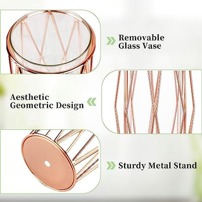 2Pcs/ Set Vase For Pampas Grass, Glass Rose Gold Vase High Bottom With Geometric Metal Frame Stand