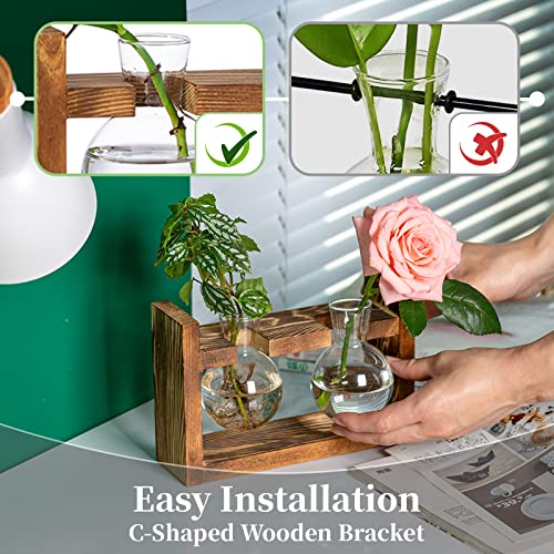 Propagation Station 1 Piece Bulb Avocado Vase Glass Acorn Vase For Flowers Terrarium Jar Planter With Wooden Shelf Stand Holder