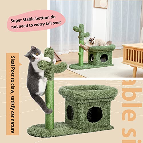 Cactus Scratching Posts Creative Scratching Posts Stylish Cat Tree with Ball and Cat House Height 70cm