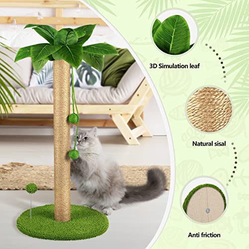 Cat Scratching Post