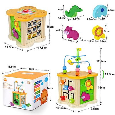 Motor Cube Wood 6 In 1 Motor Toy