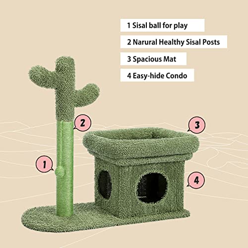 Cactus Scratching Posts Creative Scratching Posts Stylish Cat Tree with Ball and Cat House Height 70cm