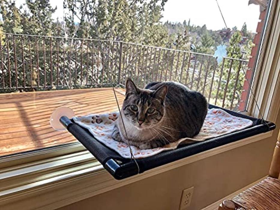 Cat hammock window | for big cats up to 25 kg