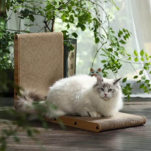 Cat scratching board