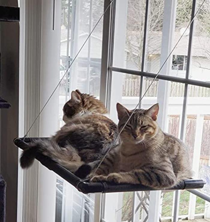 Cat hammock window | for big cats up to 25 kg