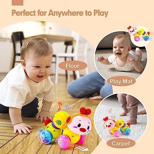 Baby music toy for 6 months