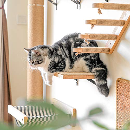 Climbing wall cats, cat bed wall made of 2cm thick solid rubber wood with resistant sisal scratching mat