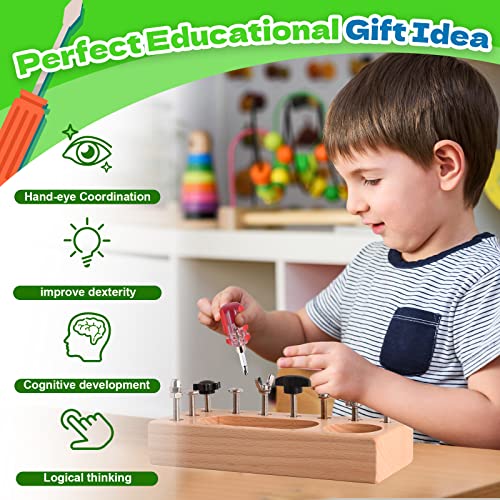 Educational toys for children - Screwdriver set - Educational toys for sensory development - Fine motor skills - Travel toys for toddlers