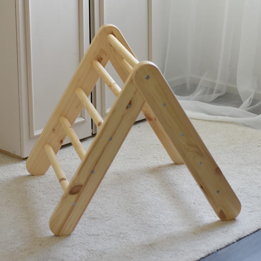 Wooden ladder biters with slide